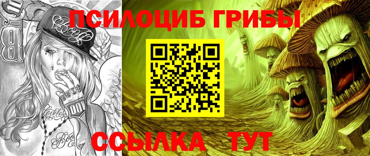 Галлюциногенные грибы GOLDEN TEACHER Грозный