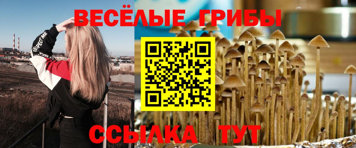 Грозный  Галлюциногенные грибы прущие грибы  Вход с VPN 